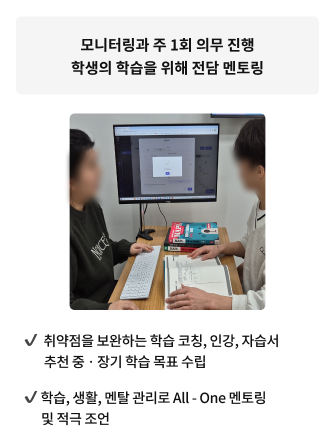 1:1 멘토링